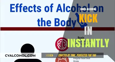 Exploring the Onset of Alcohol's Effects: Instant or Gradual?