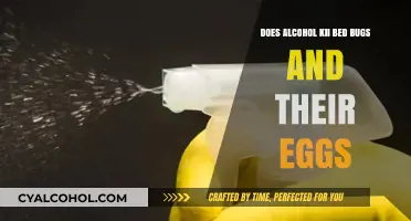 Can Alcohol Kill Bed Bugs and Their Eggs? The Truth Revealed