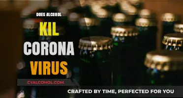 Debunking Myths: Alcohol's Role in Combating Coronavirus