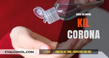 Alcohol and COVID-19: Separating Fact from Fiction on Virus Protection