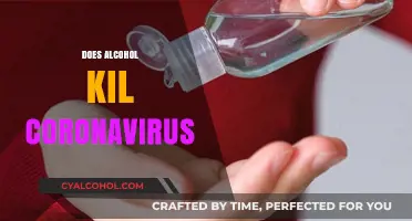Alcohol and COVID-19: Separating Fact from Fiction in Virus Protection