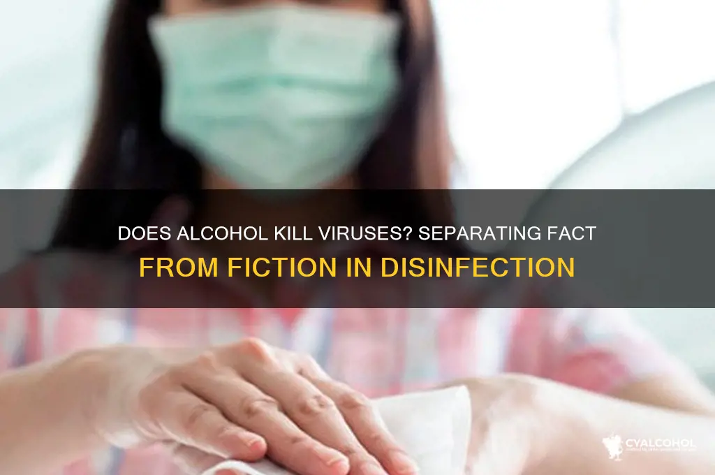 does alcohol kil virus