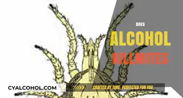Alcohol and Mites: Does It Effectively Eliminate These Tiny Pests?