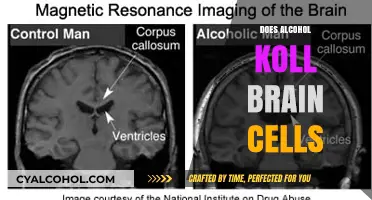 The Sobering Truth: Alcohol's Impact on Brain Cells Explained