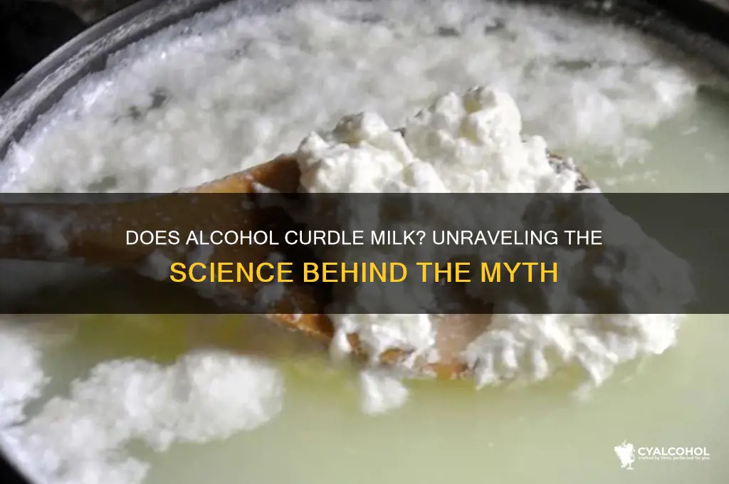 does alcohol kurdle milk