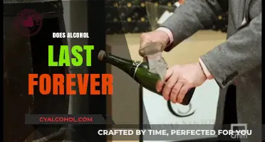 Does Alcohol Expire? The Truth About Its Shelf Life