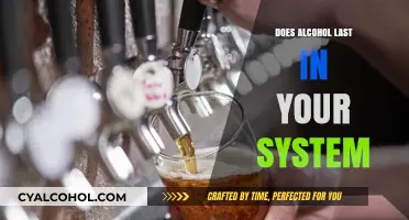 How Long Does Alcohol Stay in Your System? Facts & Factors