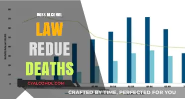 Exploring the Impact of Alcohol Laws on Mortality Rates