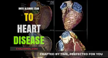 Alcohol and Heart Health: Uncovering the Link to Cardiovascular Risks