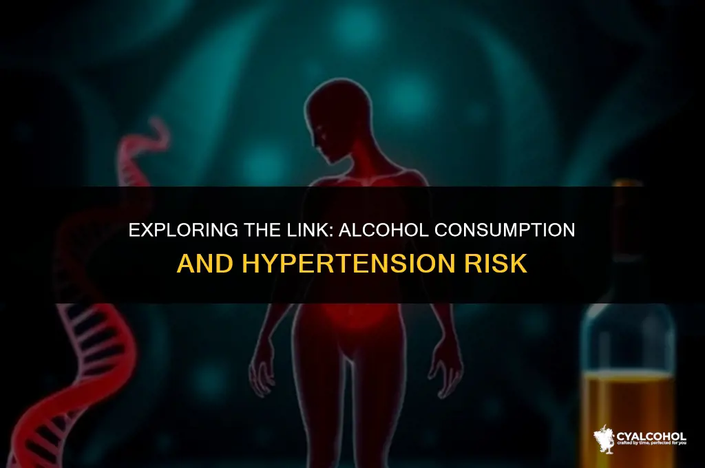 does alcohol lead to hypertension