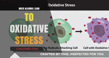 Alcohol and Oxidative Stress: Unraveling the Harmful Connection