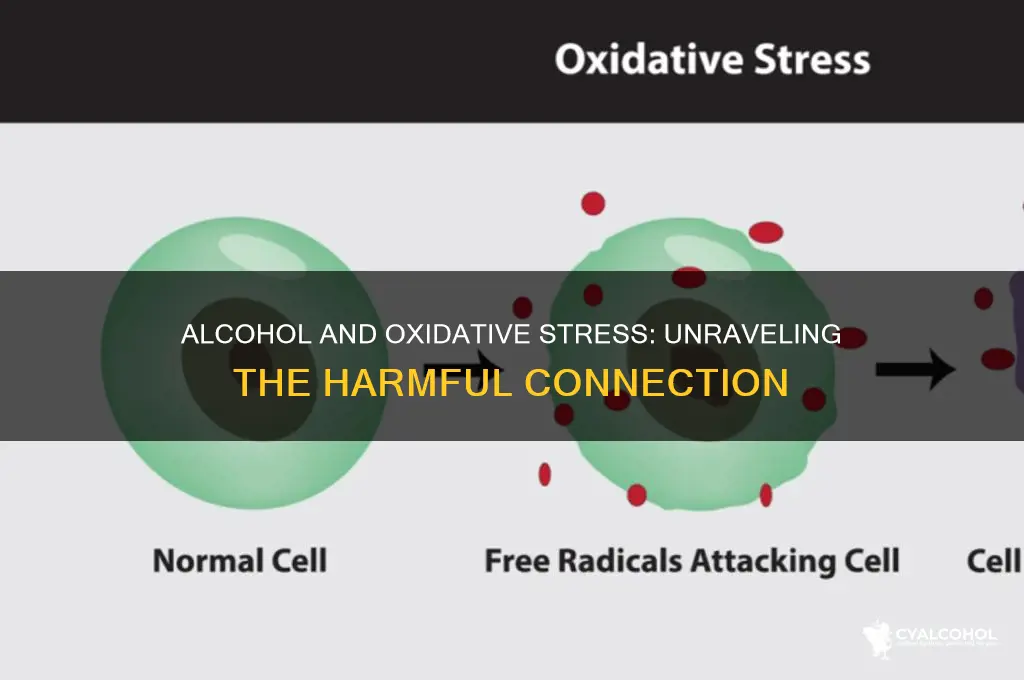 does alcohol lead to oxidative stress