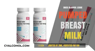 Alcohol in Breast Milk: What Pumping Moms Need to Know