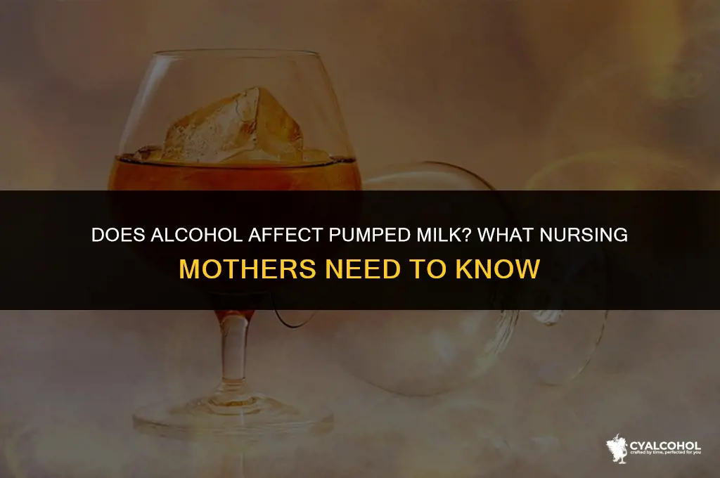 does alcohol leave pumped milk
