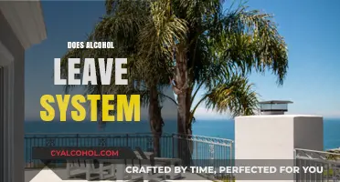 How Long Does Alcohol Stay in Your System? A Complete Guide