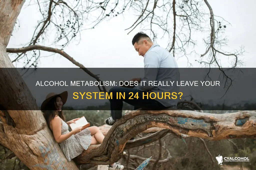 does alcohol leave your system after 24 hours