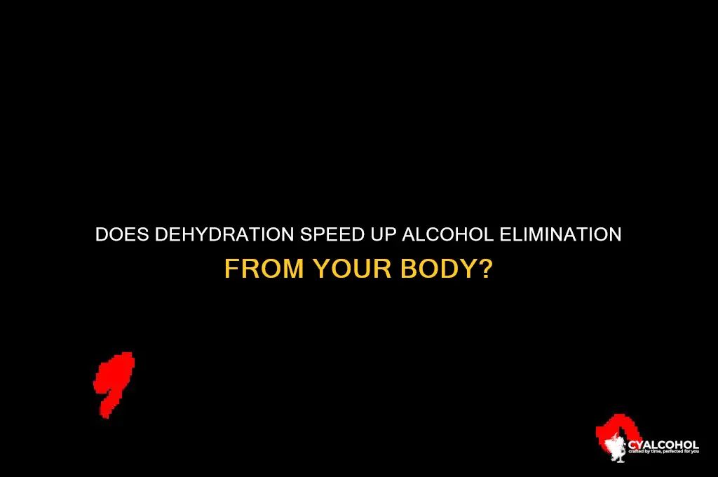 does alcohol leave your system when you dehydrate