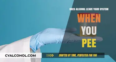Does Alcohol Exit Your Body Through Urination? The Truth Revealed