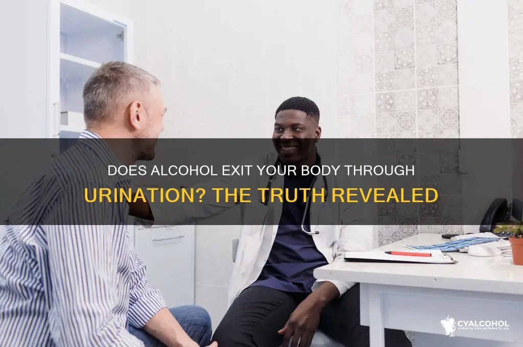 does alcohol leave your system when you pee