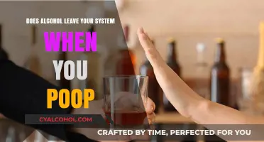 Does Alcohol Exit Your Body Through Poop? The Truth Revealed