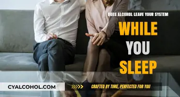 Does Alcohol Metabolize Overnight? Sleep's Role in Detoxification Explained