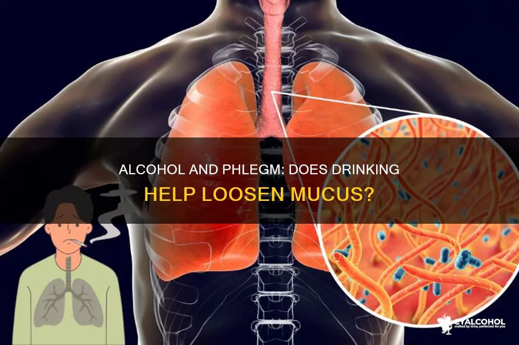does alcohol loosen phlegm