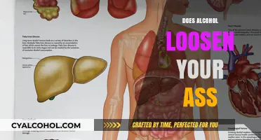 Exploring the Effects of Alcohol on Digestive Health