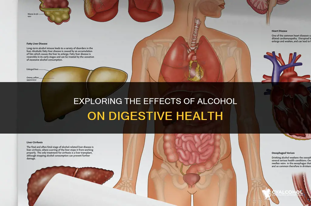 does alcohol loosen your ass