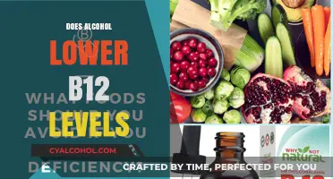 The Impact of Alcohol on Vitamin B12 Levels: What You Need to Know