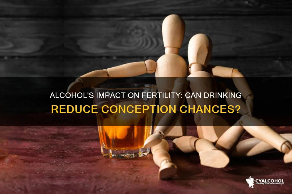 does alcohol lower chances of conceiving