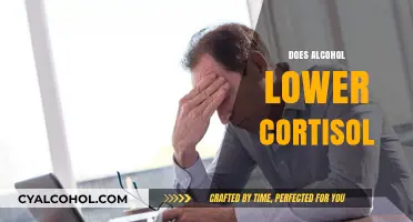 Alcohol and Cortisol: Unraveling the Stress Hormone Connection