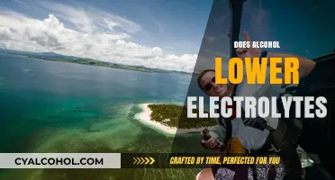 Alcohol's Impact: How Drinking Affects Electrolyte Balance in Your Body