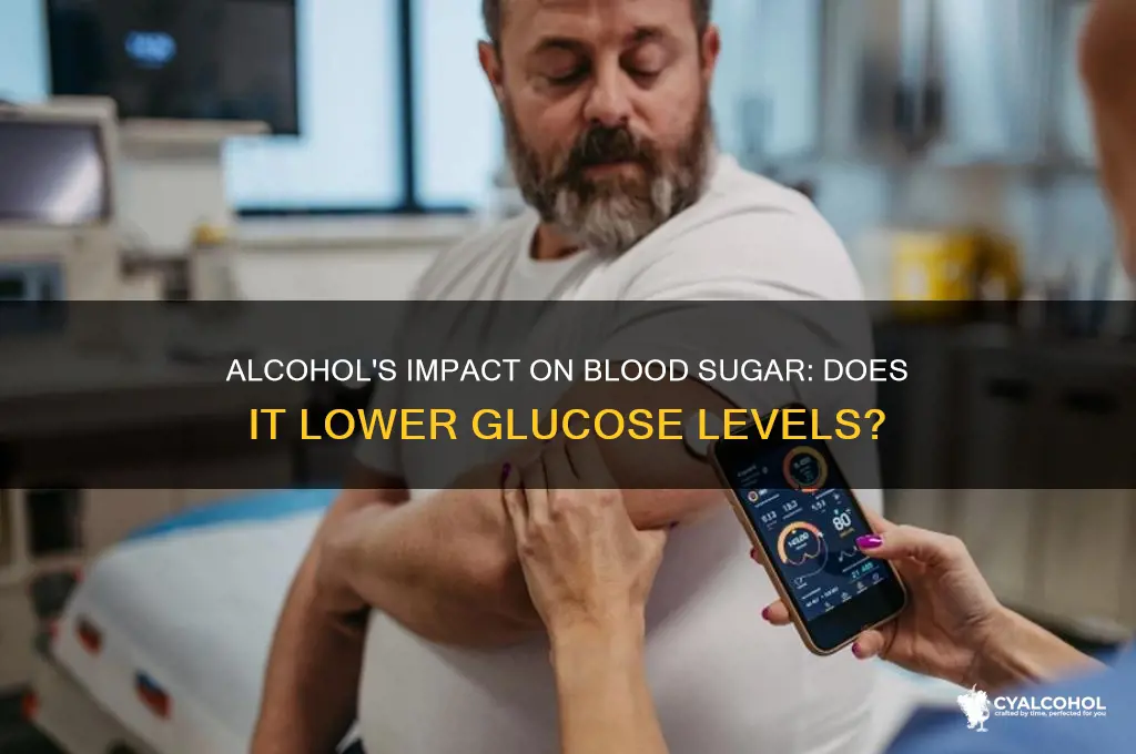does alcohol lower glucose