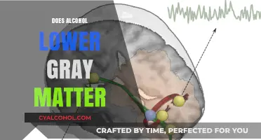 Exploring the Effects of Alcohol on Gray Matter: A Comprehensive Review