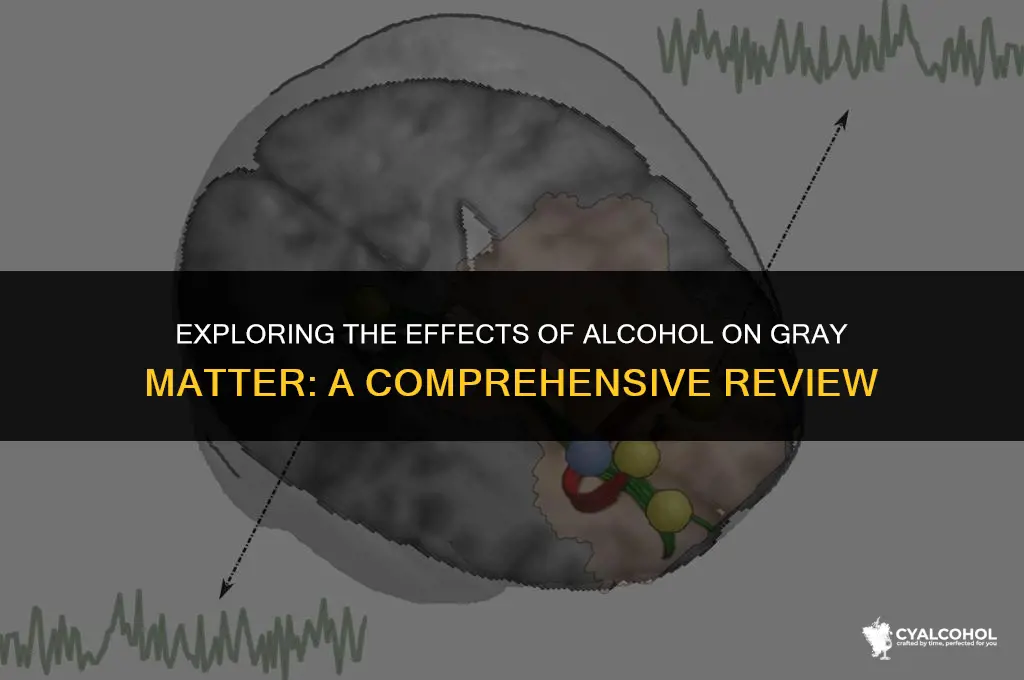 does alcohol lower gray matter