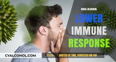 Unveiling the Truth: Alcohol's Impact on Your Immune System