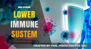 The Impact of Alcohol on Your Immune System: A Comprehensive Guide