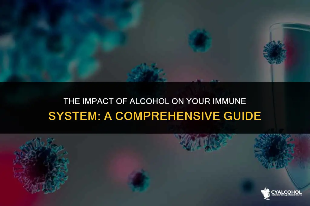 does alcohol lower immune sustem