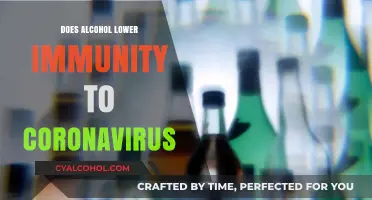 Alcohol and COVID-19 Immunity: Debunking Myths, Understanding Risks