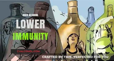 Alcohol's Impact: How Drinking Affects Your Immune System's Strength