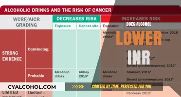Alcohol and INR Levels: Understanding the Impact on Blood Thinning