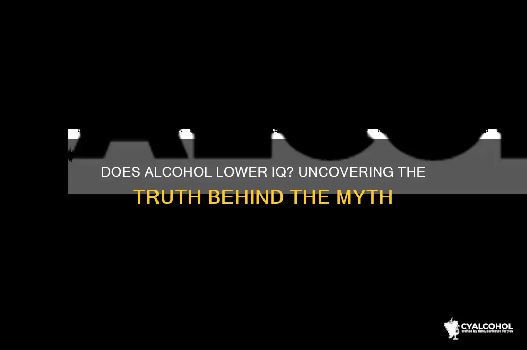 does alcohol lower iq