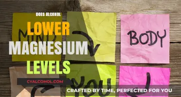 Exploring the Link: Alcohol Consumption and Magnesium Levels