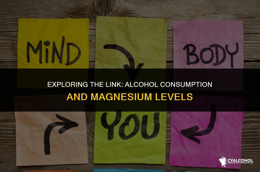 does alcohol lower magnesium levels