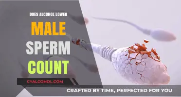 Alcohol's Impact on Male Fertility: Does Drinking Lower Sperm Count?