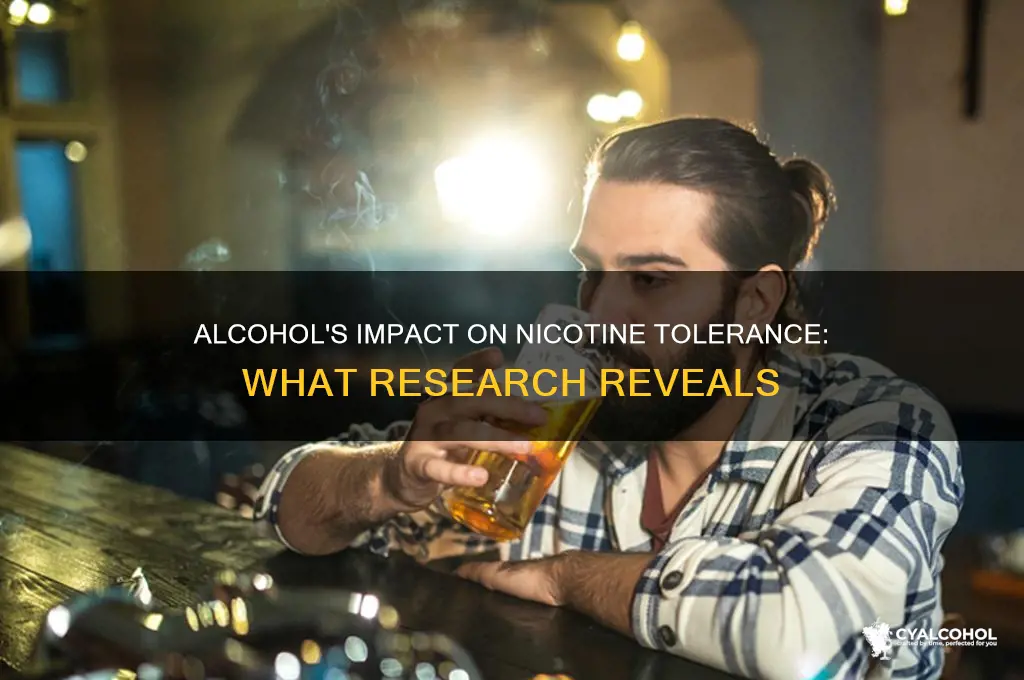 does alcohol lower nicotine t olerance