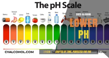 Does Alcohol Lower pH? Unraveling the Science Behind the Myth