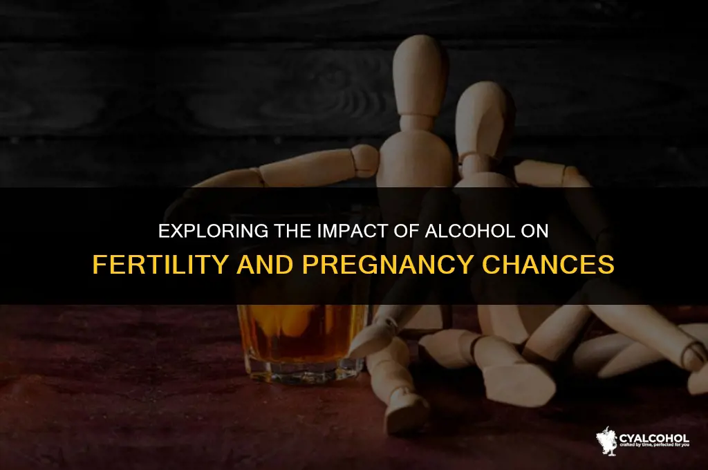 does alcohol lower pregnancy chances