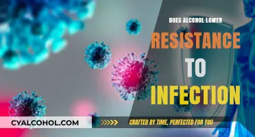 Alcohol's Impact: Does Drinking Weaken Your Immune System?