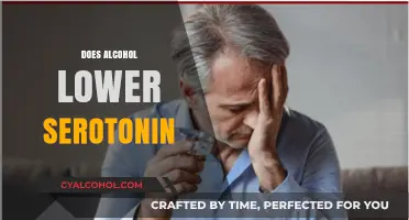 Alcohol and Serotonin: How Drinking Impacts Your Mood and Brain Chemistry